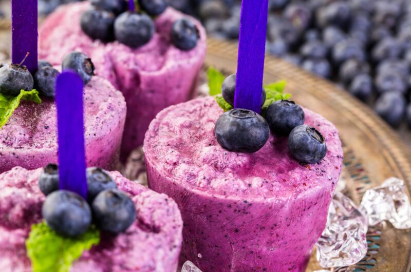 Blueberry Coconut Milk Popsicles