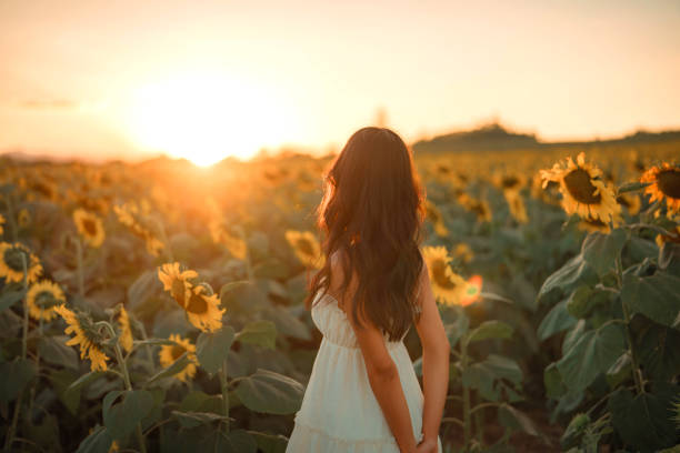 Young asian woman on the sunset or sunrise in a large field of sunflowers, Summer time