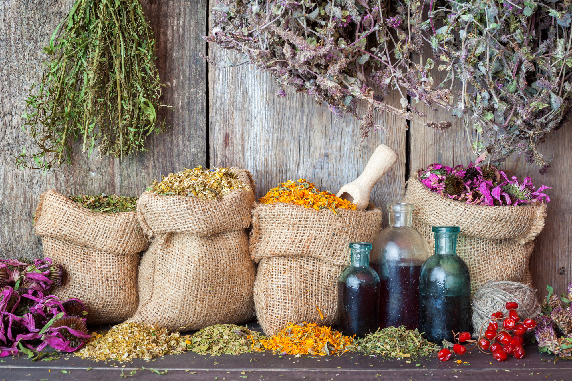 Healing herbs in hessian bags with bottled herbal tinctures. 