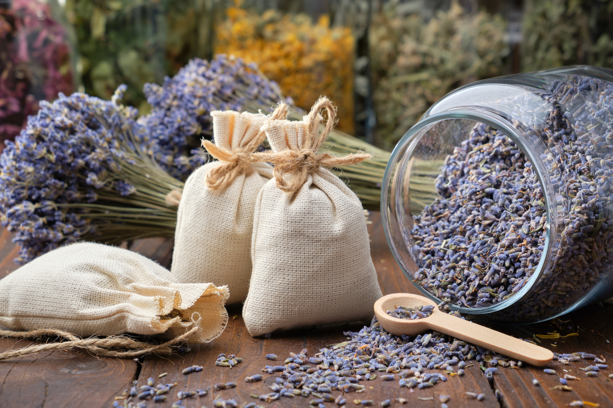 Dry lavender flowers placed in sachets make excellent aromatherapy fresheners. 