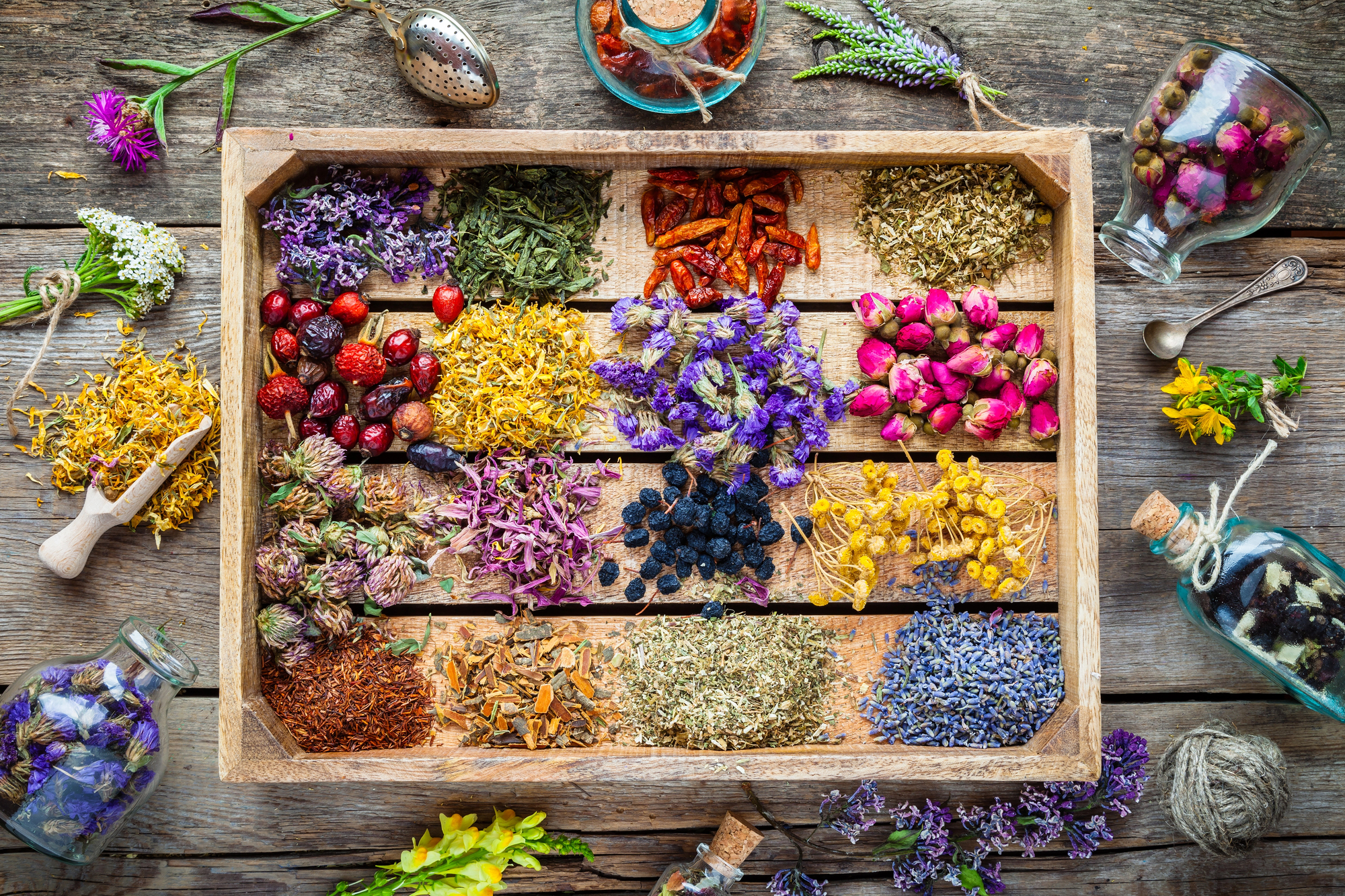 A wooden display box of various flowers used for herbal medicine. 