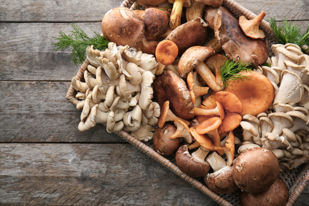 Wicker tray with variety of raw adaptogenic mushrooms and ashwagandha on wooden table