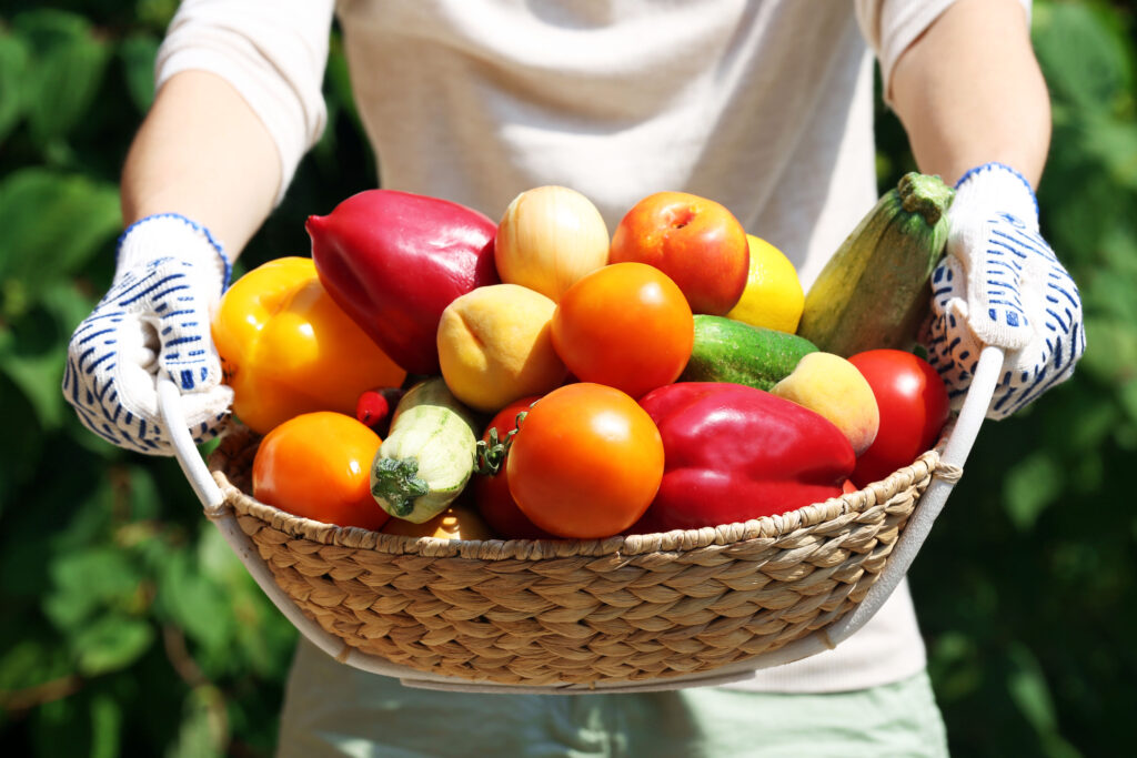 Fresh nutrient-packed vegetables from the garden. 