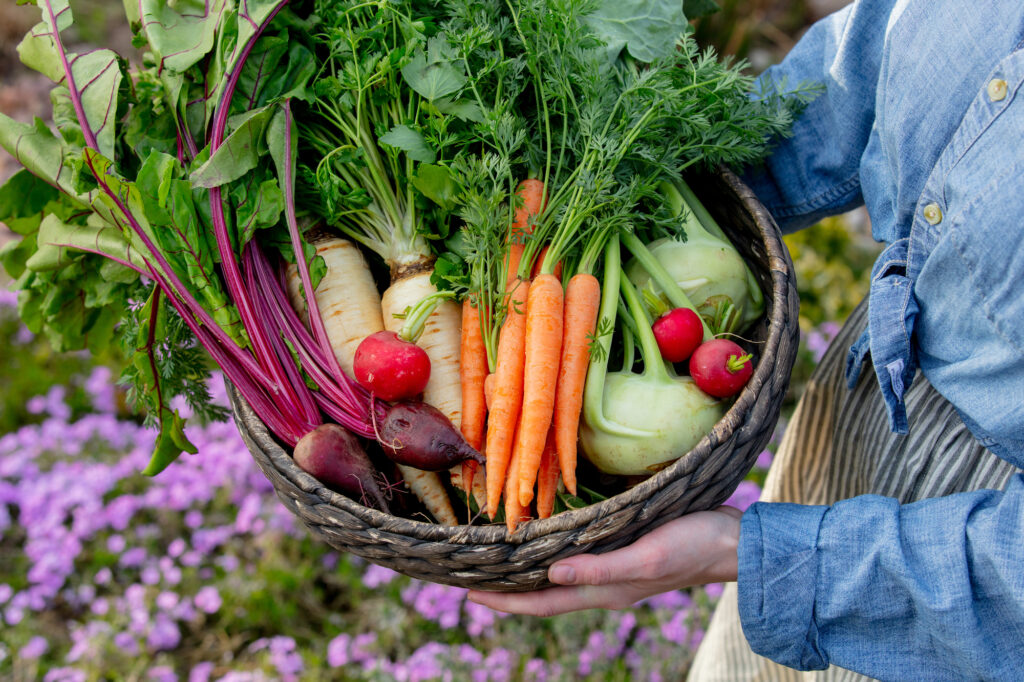 Fresh vegetables from the garden. 