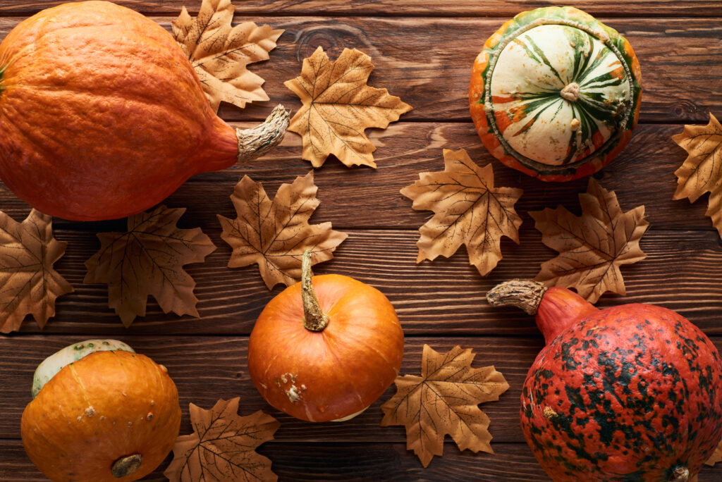 A variety of pumpkin and winter squash which is an excellent source of nutrients. 