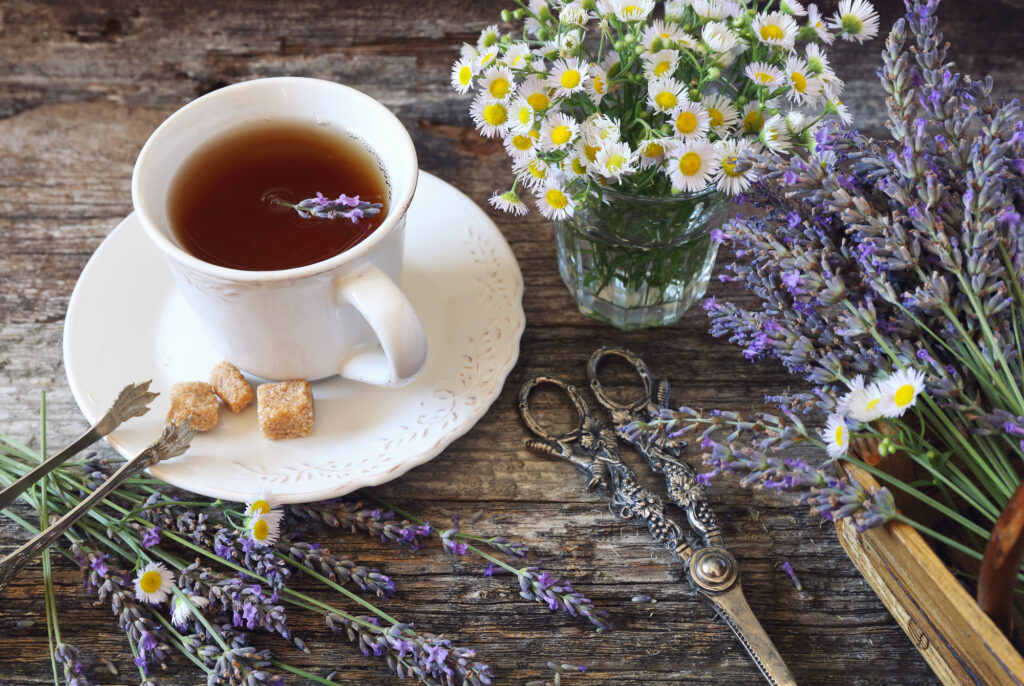 Lavender herbal tea with dried chamomile and lavender plants. 