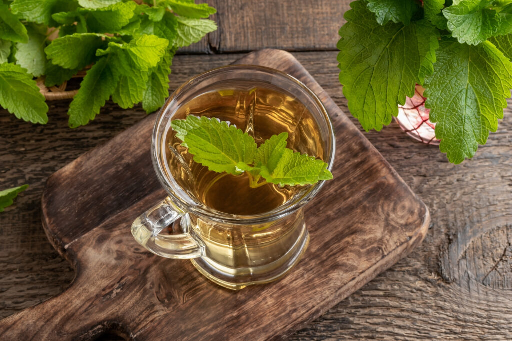 Lemon balm tea. 